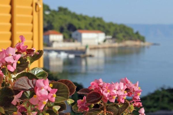 Villa Marga Jelsa  Exteriér fotografie